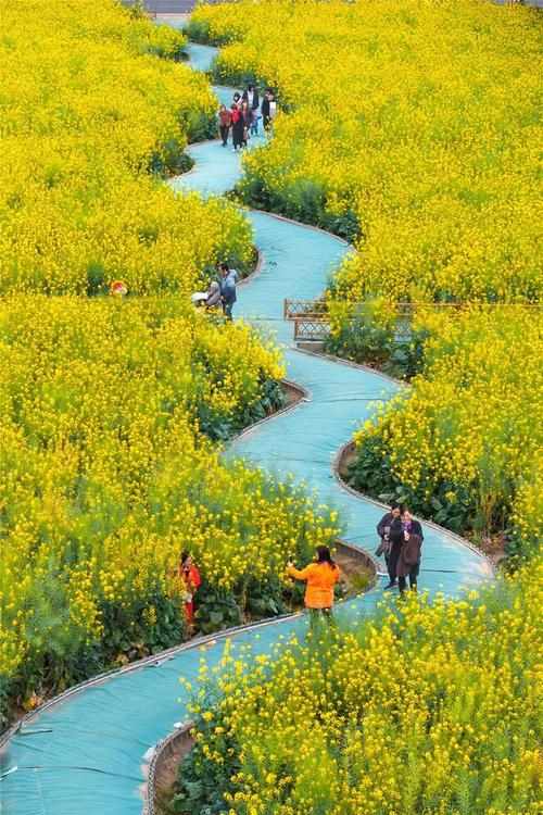 汕头赏花胜地，感受春天的浪漫气息  第2张