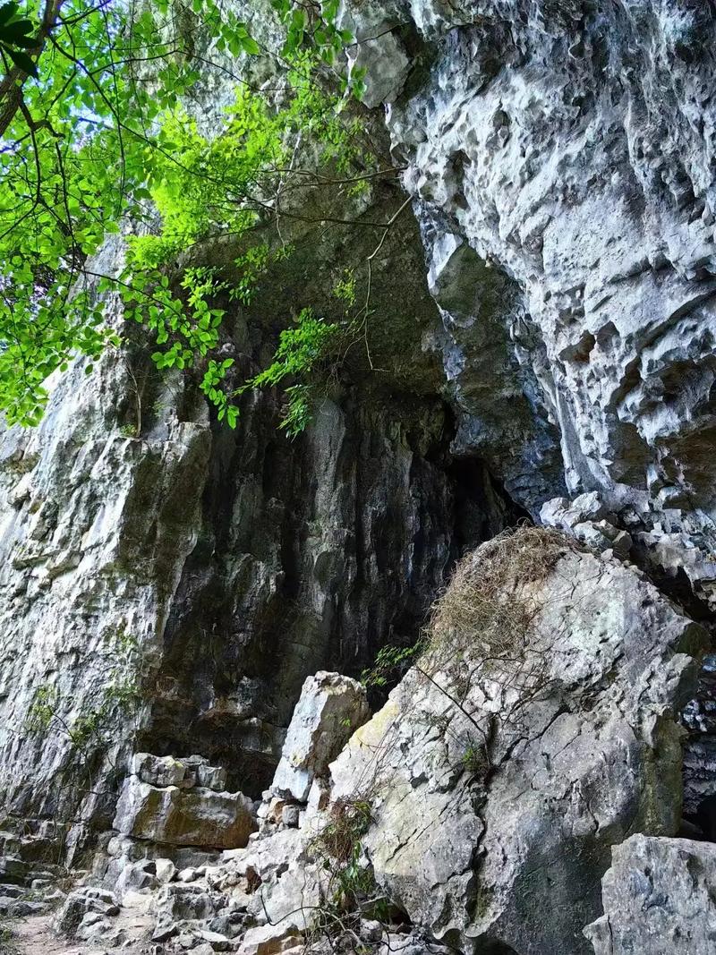 江油夏日避暑胜地,探寻古蜀文明与自然奇观的完美融合  第2张