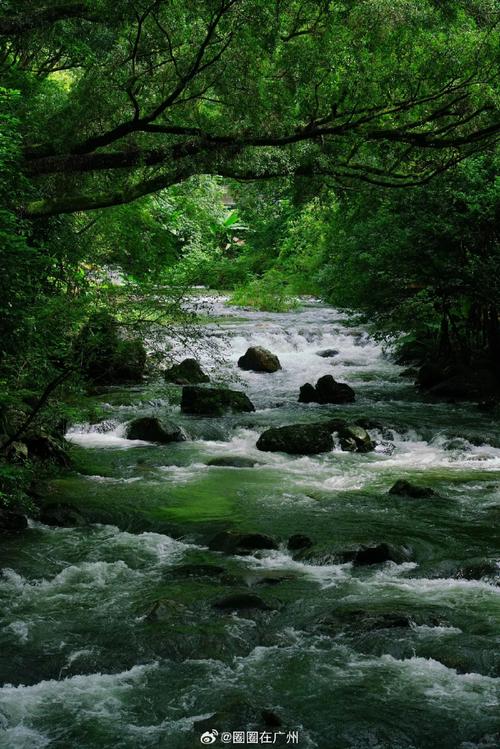 沅陵溪流,山水交融的绿色画卷