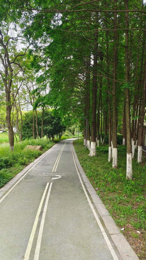 沈阳绿色景点大盘点,探寻生态之美，感受城市绿肺  第2张