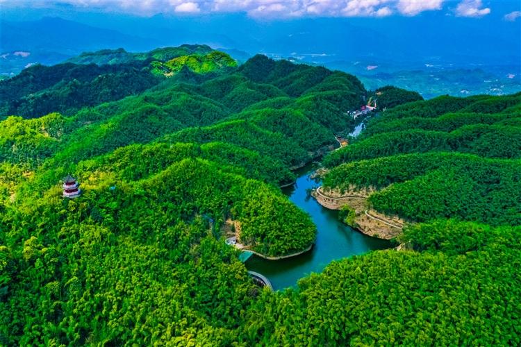 沐川美景,大自然的画卷，心灵的净土  第2张