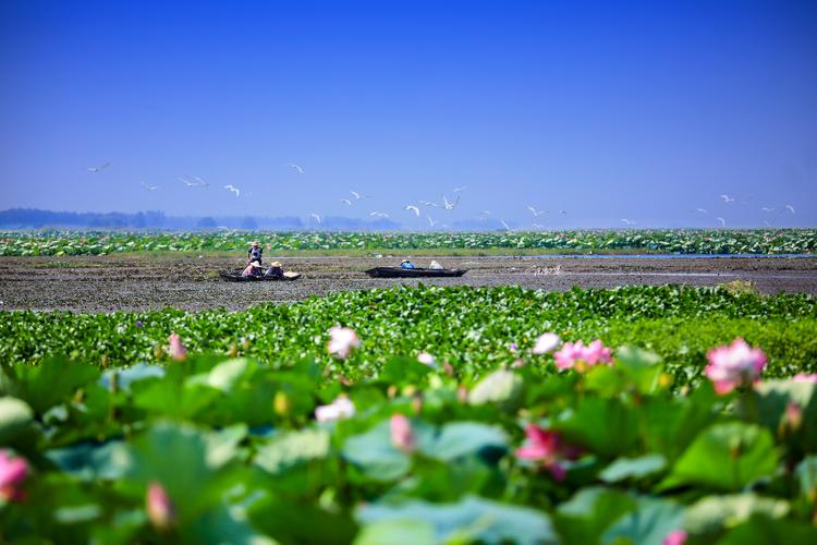 洪湖古韵,湖北历史名湖的文化魅力探幽  第2张