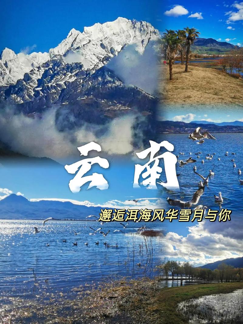 洱海沿海公路,邂逅自然之美，探寻历史印记  第2张