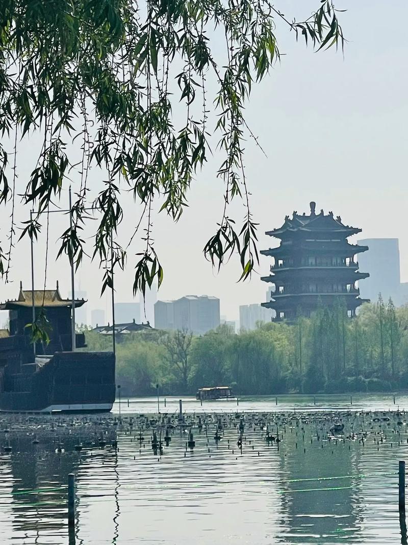 济南小景，古韵风情，一城繁花似锦