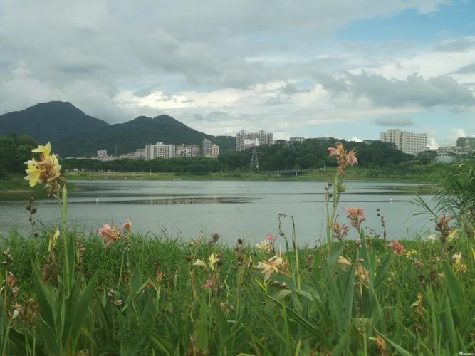 深圳公园大地,都市绿洲中的诗意栖息地 第2张 深圳公园大地,都市绿洲中的诗意栖息地 第2张