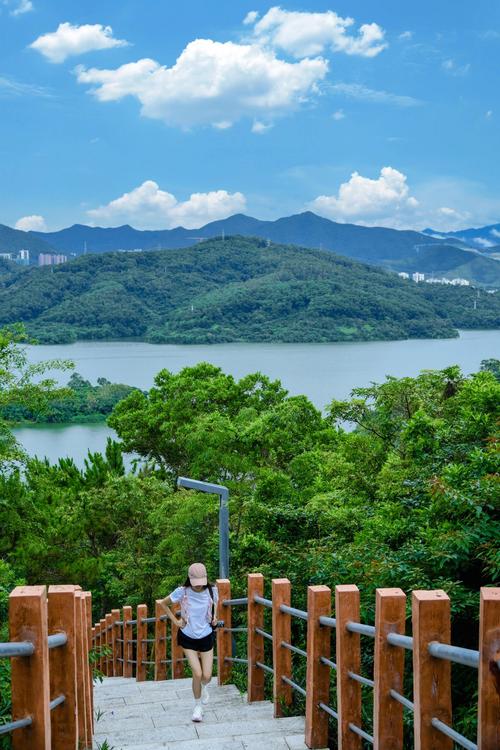 深圳树林仙境,探寻都市中的自然秘境  第2张