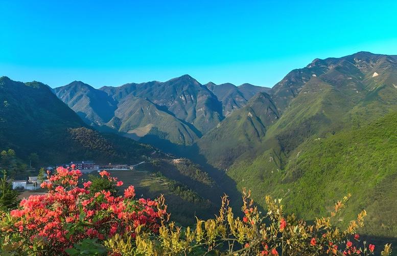 漫步台南新化,探寻古韵与现代交融的美丽风景