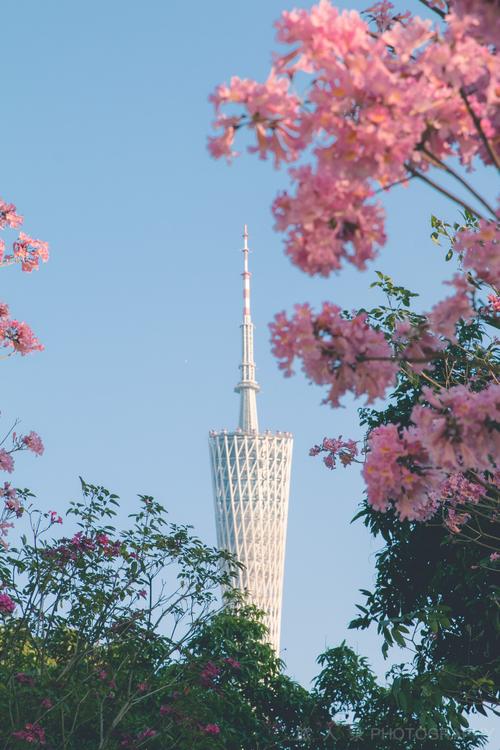 漫步广州花城,领略南国花都的浪漫魅力