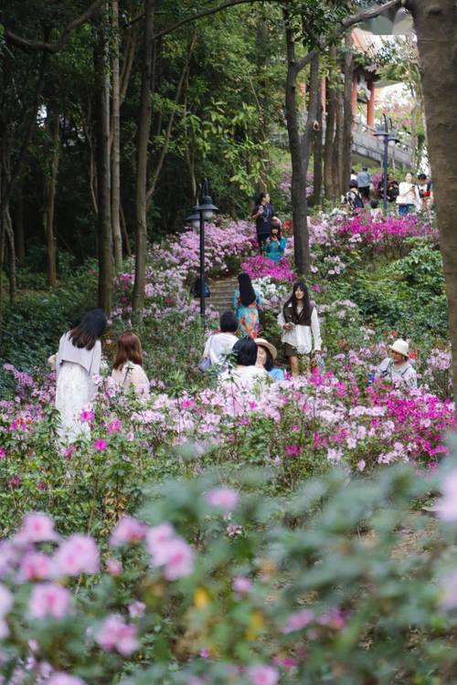 漫步广州芳香公园,自然与艺术的完美邂逅