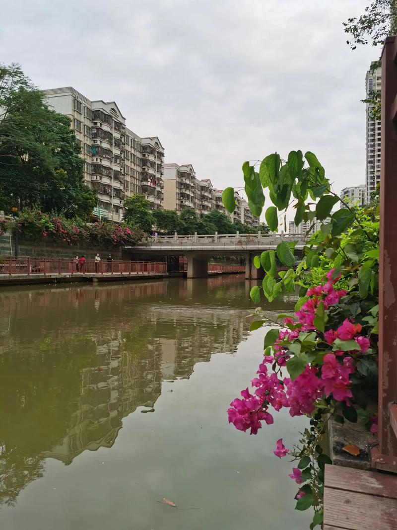 漫步惠阳悠闲时光,探寻这座城市的静谧之美