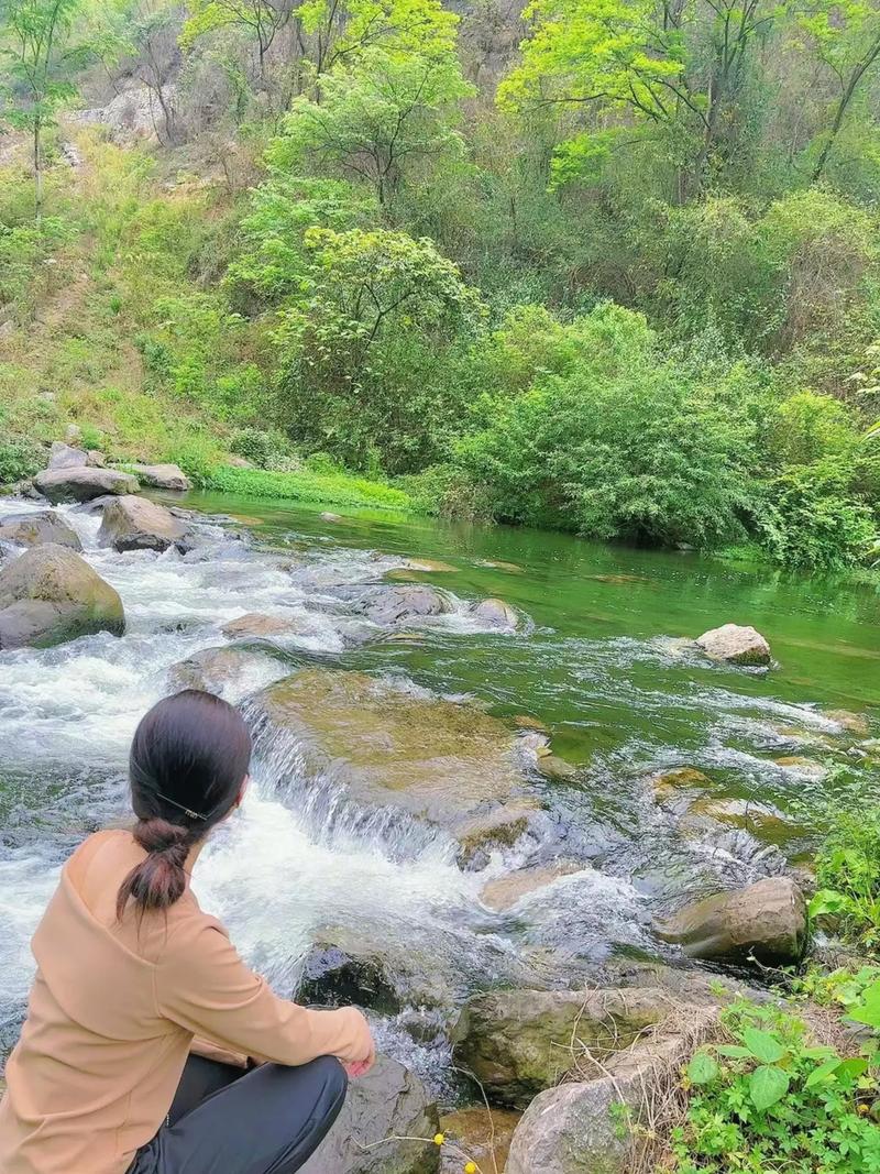 漫步慈溪小山公园，感受自然之美