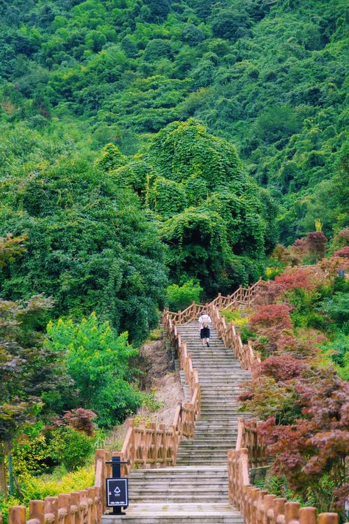 漫步成都，探寻凉爽秘境_探寻成都凉爽景点之旅  第2张