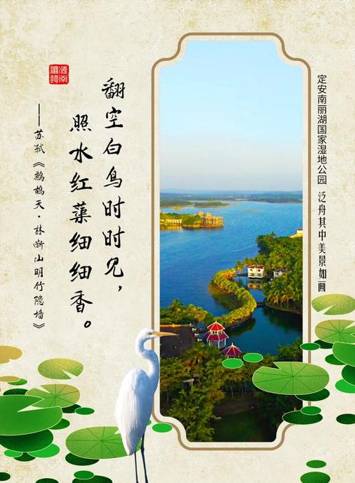 漫步明湖湿地公园,生态绿洲中的自然诗篇