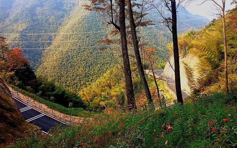 漫步杭州萧山，骑行探秘美丽风光  第2张