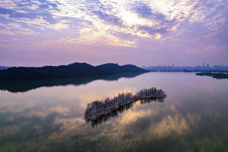 漫步武汉东湖,领略这座城市的湖光山色  第2张