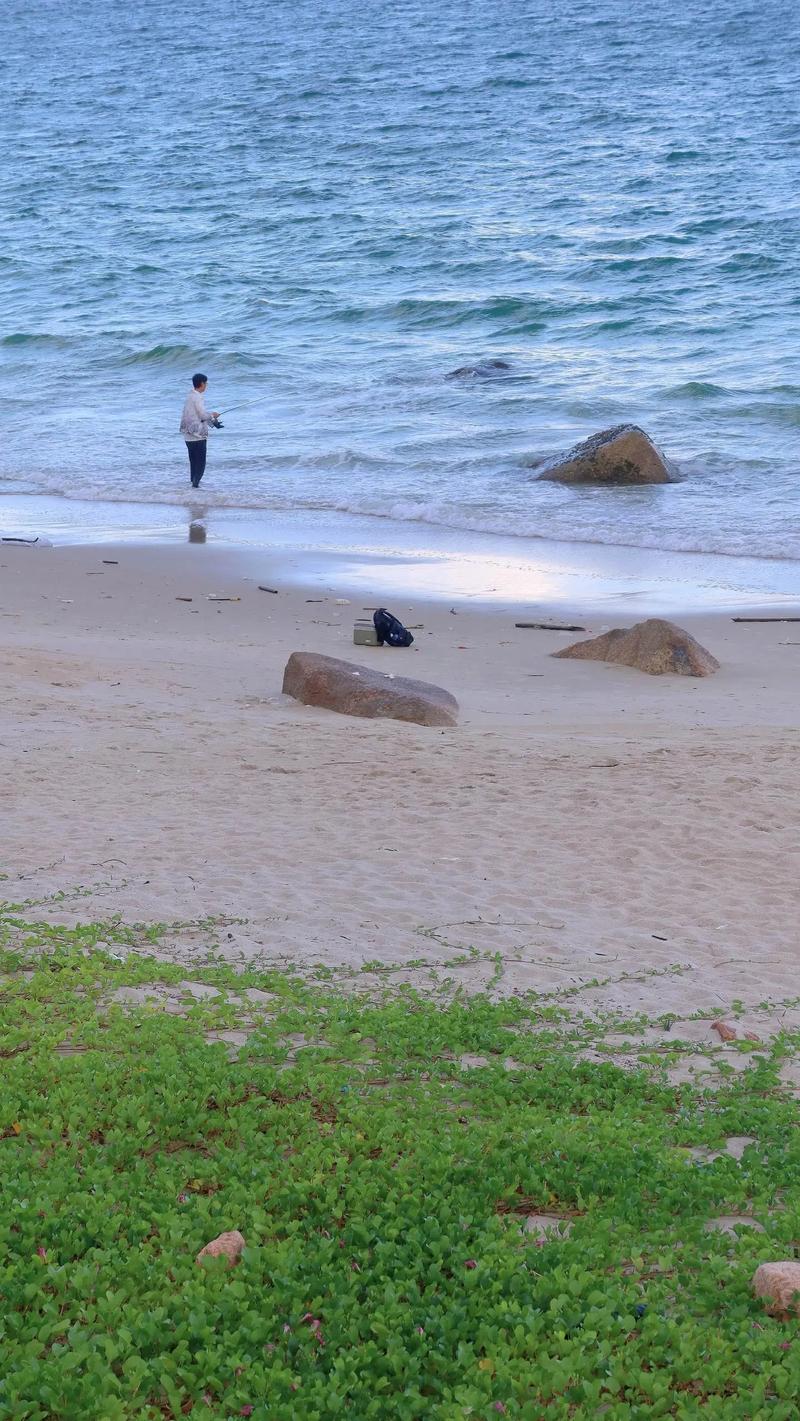 漫步深圳文锦海边，领略滨海风情  第2张