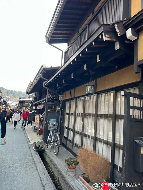 漫步深圳日本园,一场穿越时空的日式风情之旅