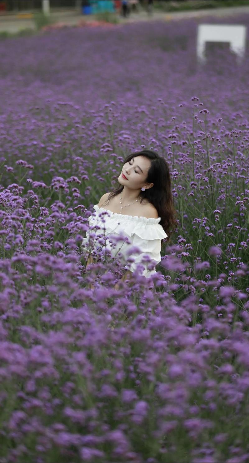 漫步花海，邂逅春日里的浪漫诗篇_探秘我国著名花海景点  第2张