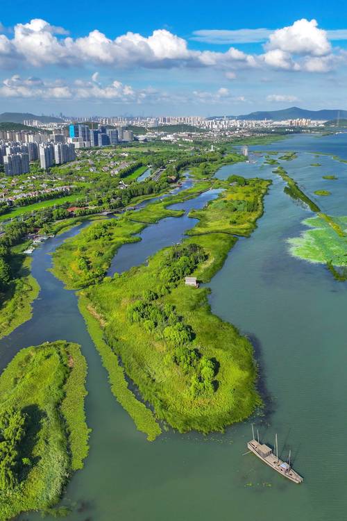 漫步苏州水库公园,绿意盎然的生态休闲胜地  第2张