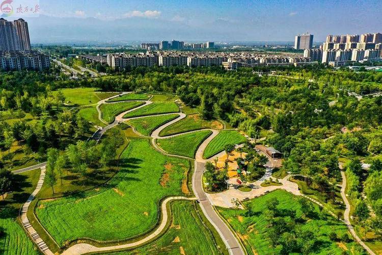 漫步茂名长安公园，探寻城市绿肺中的诗意栖息地