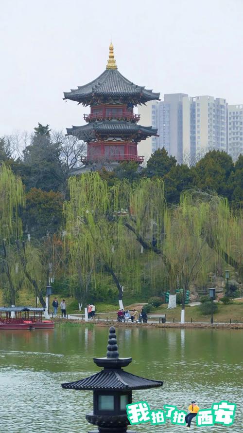 漫步西安香河公园,古都绿意的自然画卷