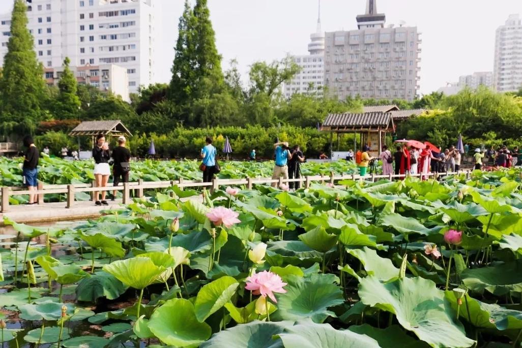 漫步郑州温水公园,感受古都绿意盎然的休闲胜地  第2张