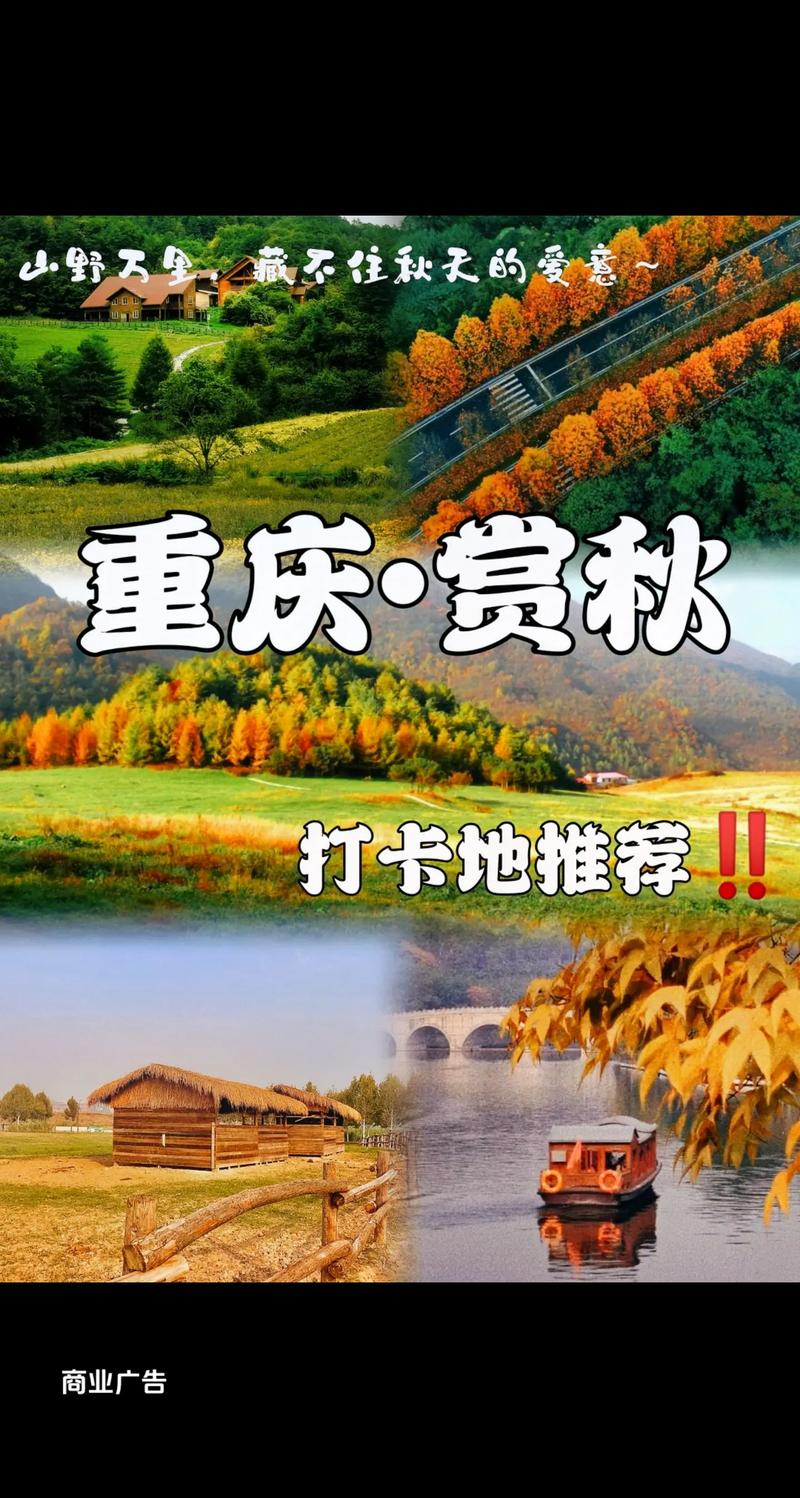 漫步重庆深秋公园,领略山城秋色，尽享宁静时光