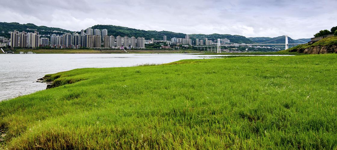 漫步金阳东路，探寻城市中的自然秘境  第2张