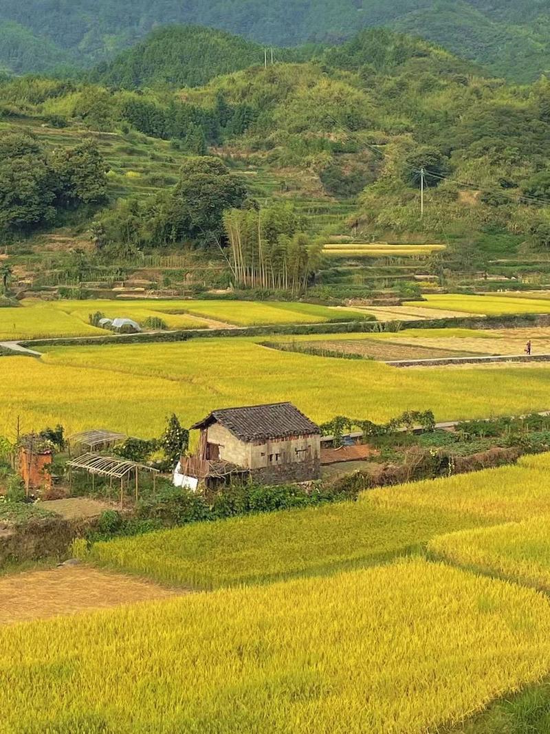 漫步集美乡村，感受岁月静好的田园风光