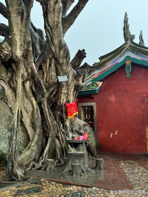 漳平东山古韵,穿越千年的文化瑰宝