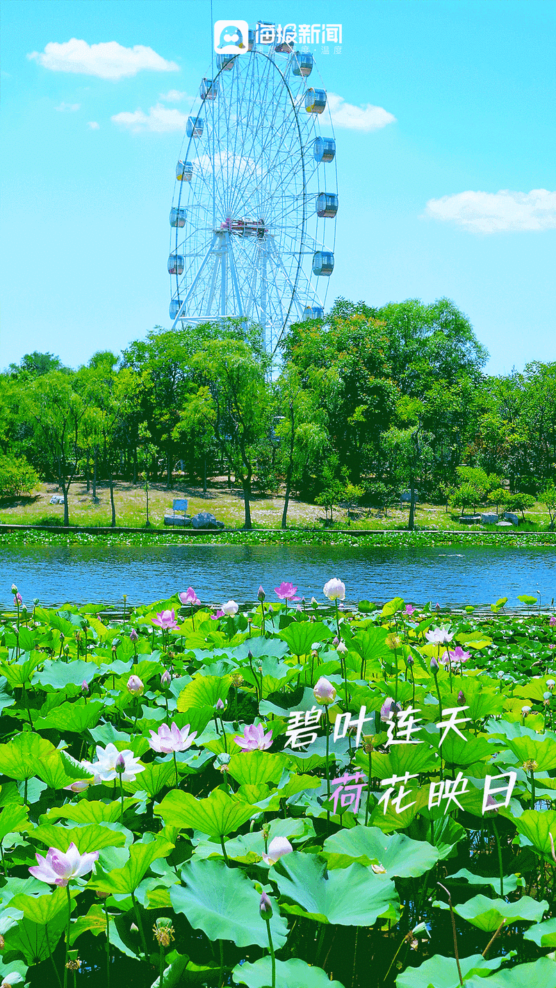 潍坊避暑胜地，尽享清凉夏日时光