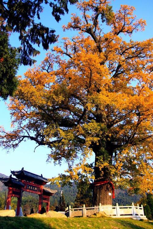 潭柘寺,千年古刹，岁月流转中的禅意与智慧