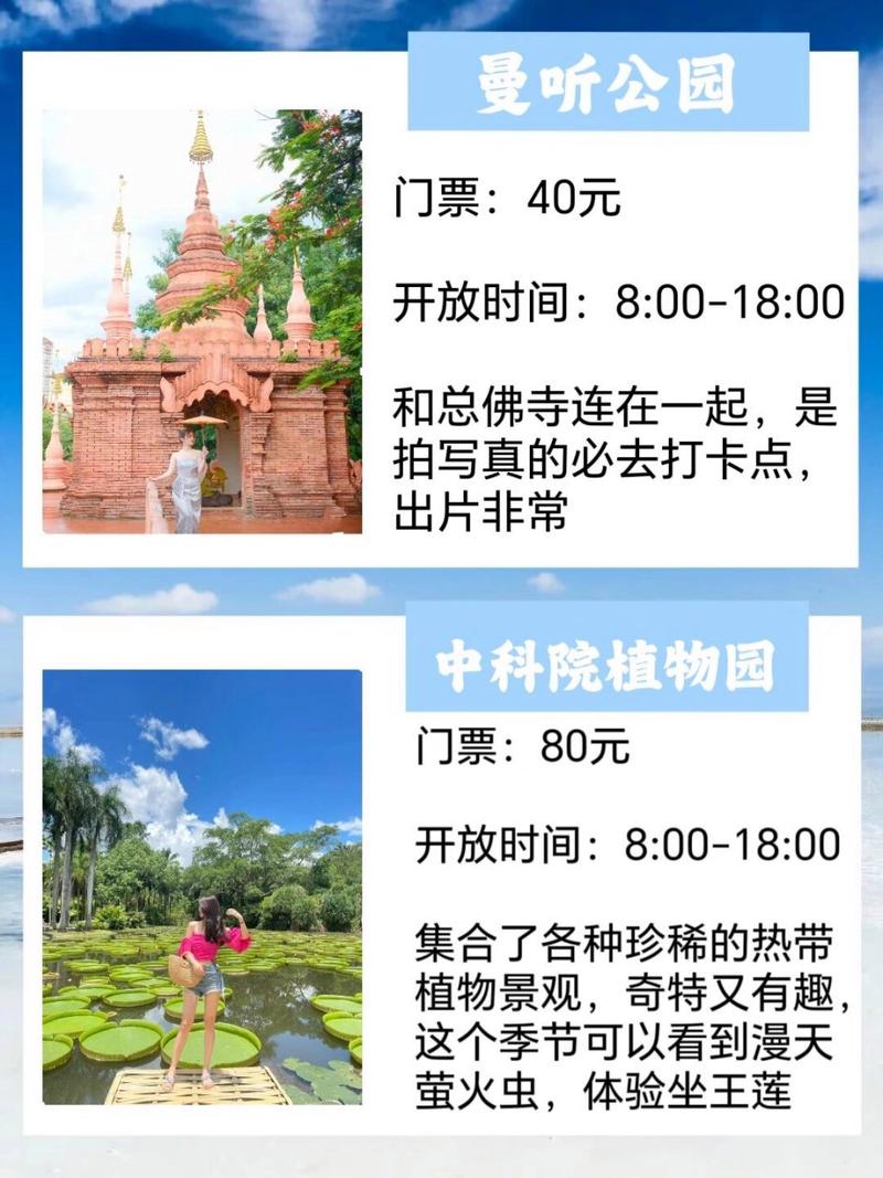 版纳冬季旅游攻略,探寻热带雨林的温暖秘境