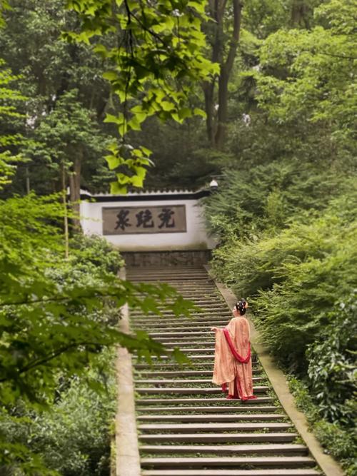 牧野公园,穿越千年的绿色秘境，探寻古都的生态宝藏