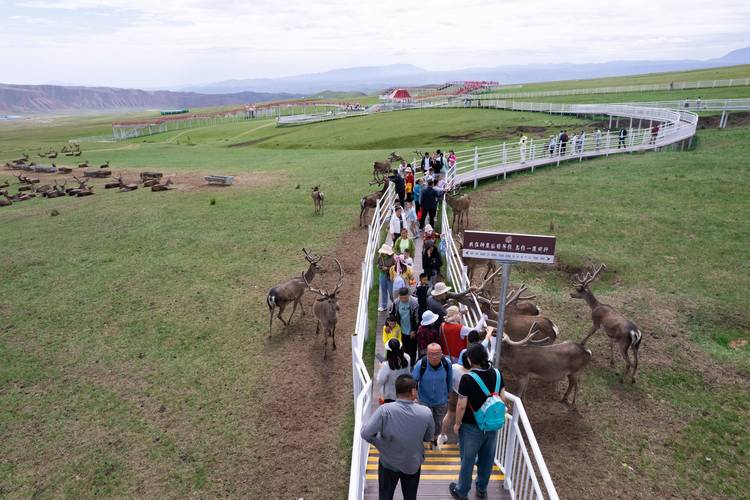 甘肃鹿岛公园,大自然的秘境之旅