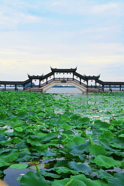 番禺清河,古韵流淌，文化传承的美丽画卷