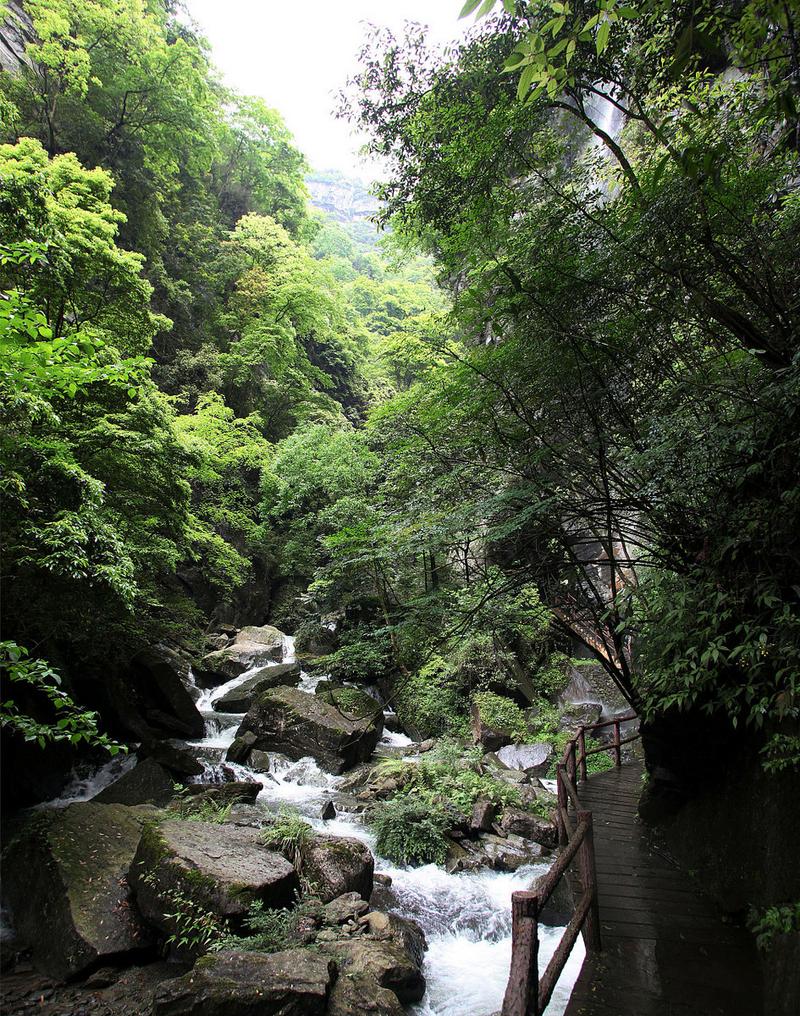 白水寨周边风光无限，探秘自然与人文的交融之地