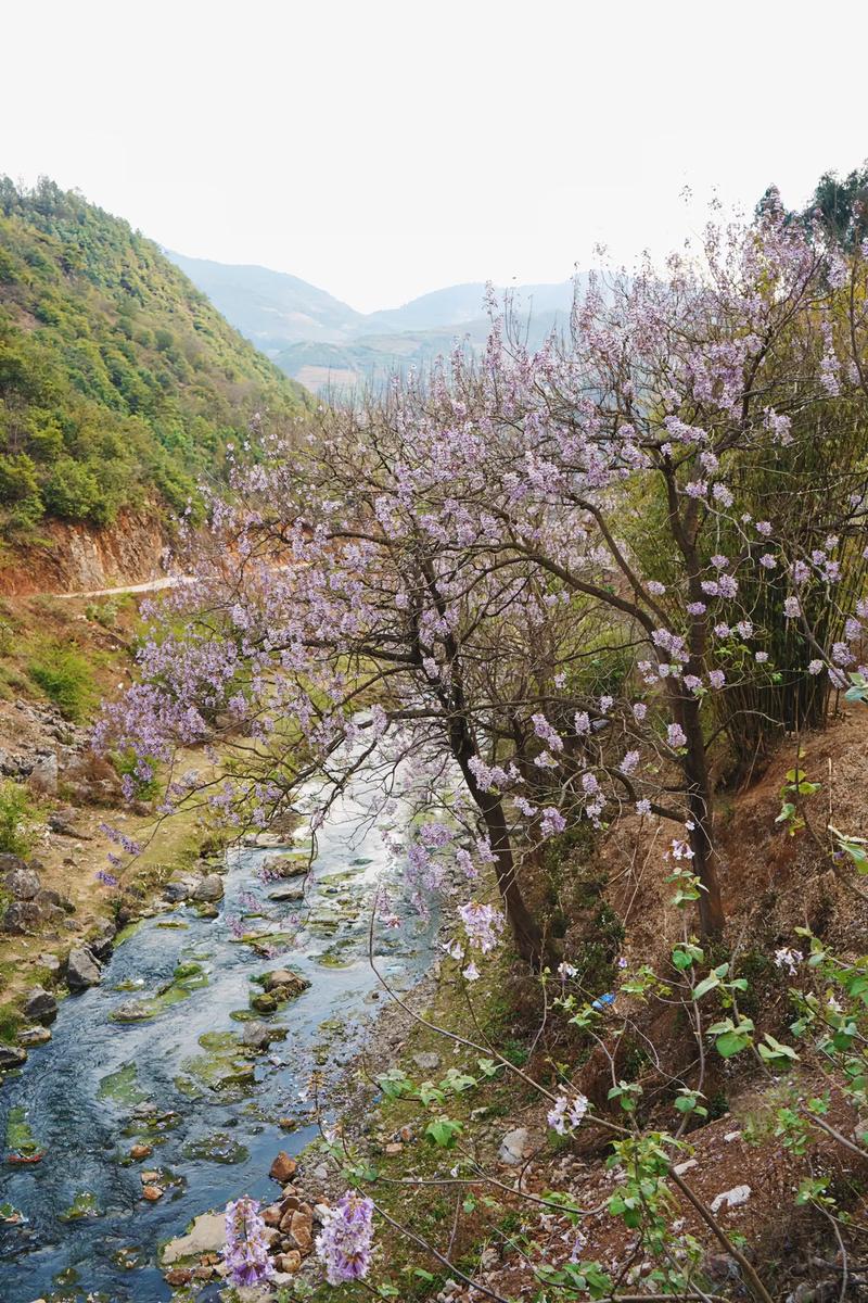 盘县冬季旅游攻略,探寻贵州冬季美景的秘密花园