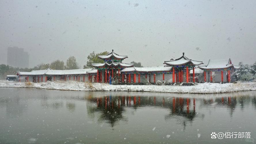 盘锦冬日奇景，冰封雪裹下的湿地天堂