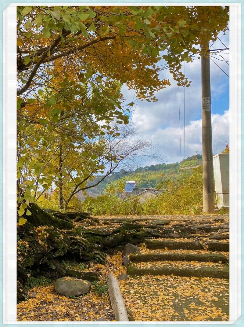 秋日之旅，探寻中国最美的秋季景点