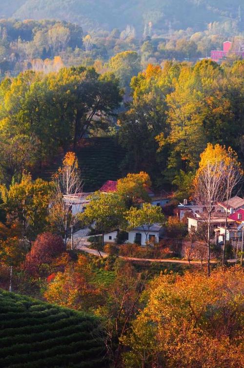 秋意盎然，走进潢川周边秋色景点