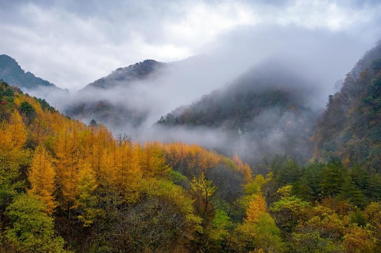 秦岭公路,穿越山水画卷，探寻自然奇观