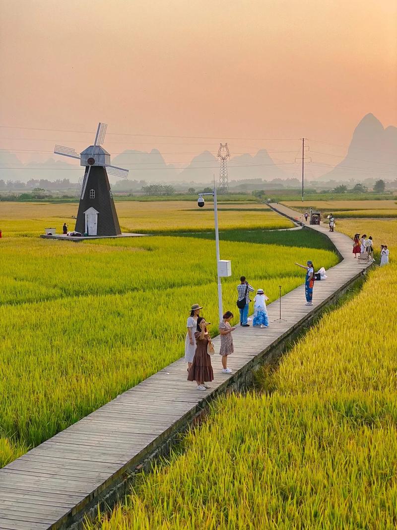 稻香之旅,探寻自然与人文交融的乡村旅游胜地