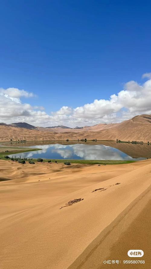 穿越沙漠奇景，探寻通辽旅游的独特魅力