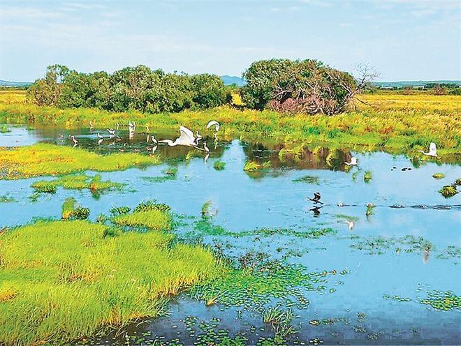 粮田湿地公园,自然与人文的完美交融