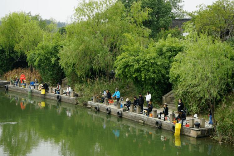 红安休闲钓鱼景点,静享湖光山色，体验渔乐无穷