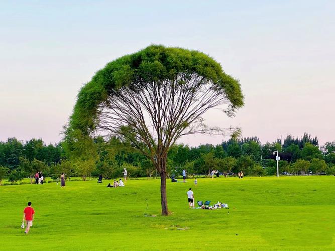 绿意盎然，尽享自然之美_探访我国著名景点草坪