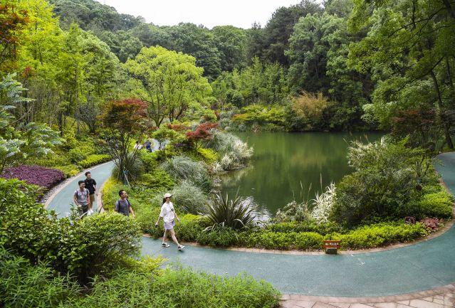 缙云新居公园,城市绿肺，休闲胜地