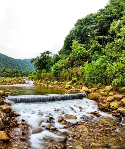 肇庆午间公园之旅,绿意盎然的休闲天堂