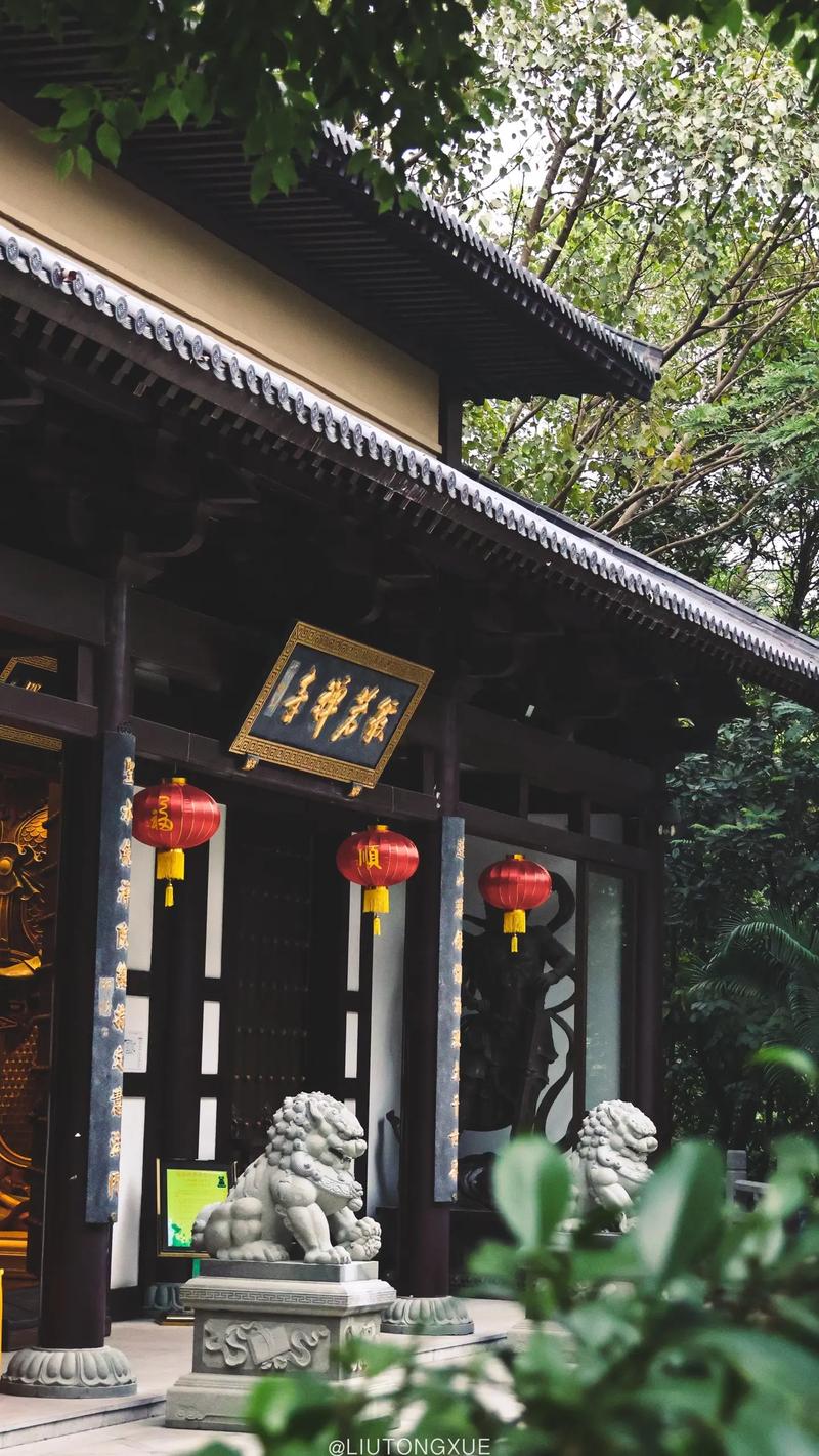 般若寺,探寻历史与文化的圣地，周边景点尽收眼底